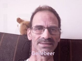 Geilebeer