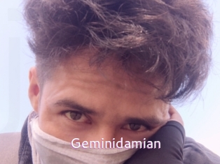 Geminidamian