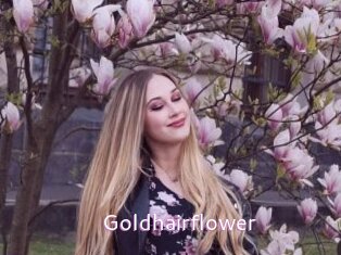 Goldhairflower