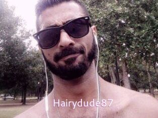 Hairydude87