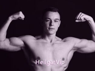 HeilgarVip