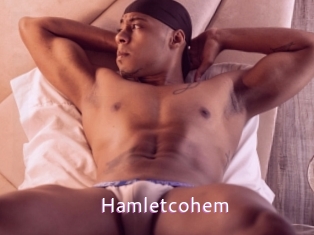 Hamletcohem