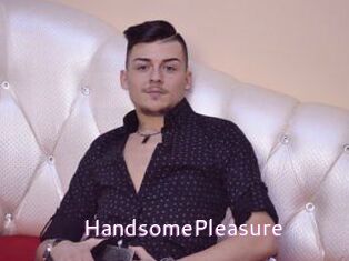 HandsomePleasure