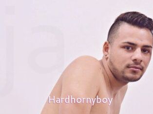 Hardhornyboy