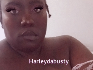 Harleydabusty