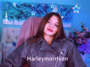 Harleymorrison