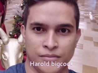 Harold_bigcock