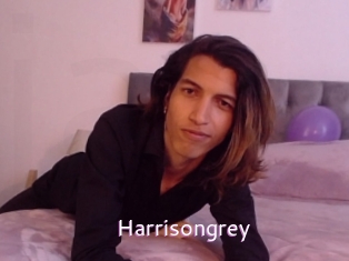 Harrisongrey