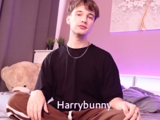 Harrybunny