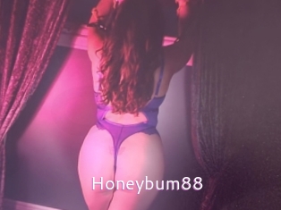 Honeybum88