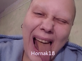 Hornak18