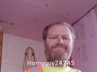 Hornyguy24745