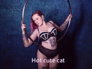 Hot_cute_cat