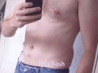 Igor_bash