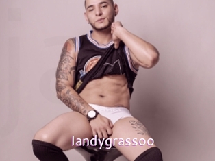 Iandygrassoo