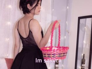 Im_sakura