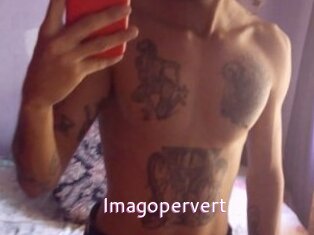 Imagopervert