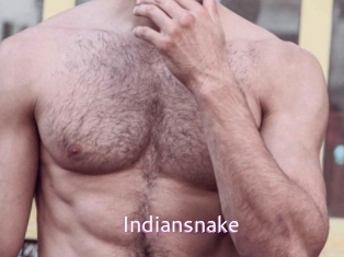 Indiansnake