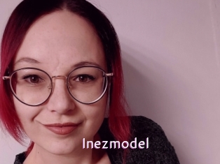 Inezmodel