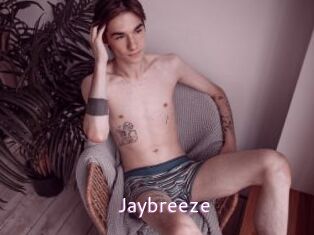 Jaybreeze