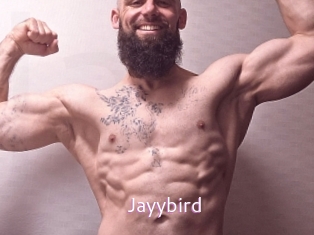 Jayybird