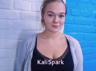 KaliSpark