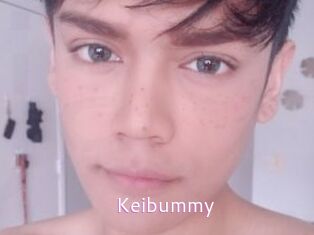 Keibummy