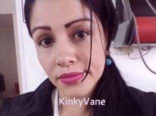 KinkyVane