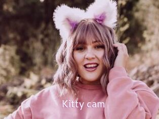 Kitty_cam