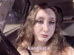 Kandikatie