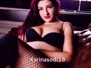 Karinasodi18