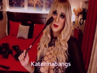 Katerinabangs