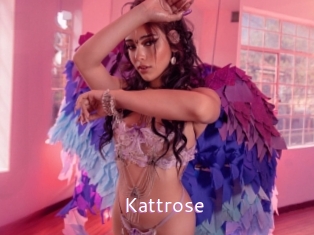 Kattrose