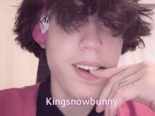 Kingsnowbunny