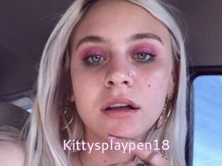 Kittysplaypen18