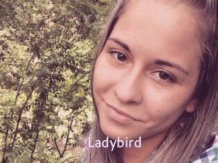 Ladybird