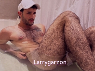 Larrygarzon