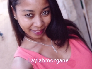 Laylahmorgane