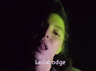 Leilabodge