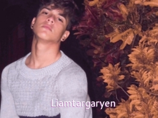 Liamtargaryen