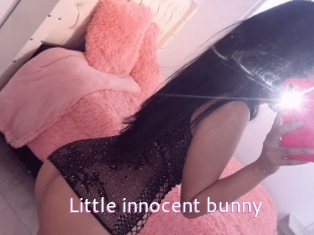 Little_innocent_bunny