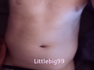 Littlebig99