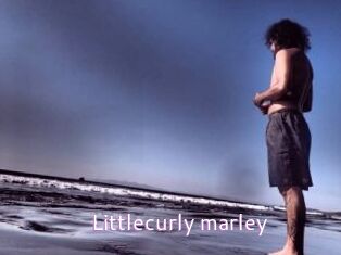 littlecurly_marley Just Amateurs