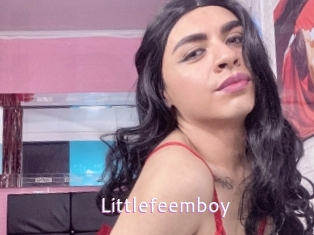 Littlefeemboy