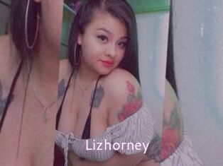 Lizhorney