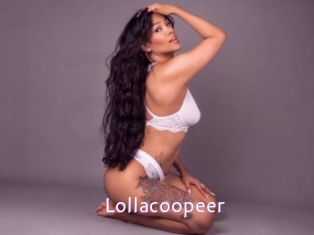 Lollacoopeer