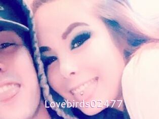 Lovebirds02477