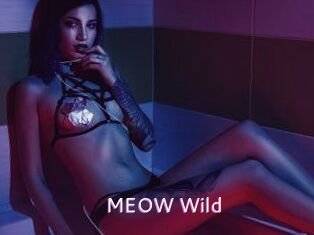 MEOW_Wild