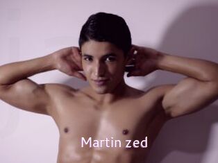 Martin_zed