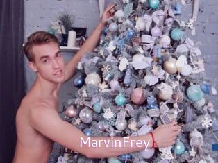 MarvinFrey